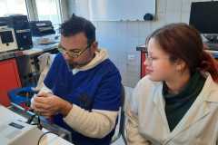 IMG-20251130-WA0059