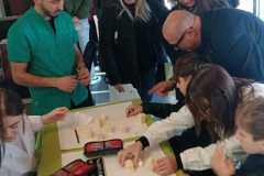 Immagine-WhatsApp-2025-11-29-ore-19.24.59_c4c5cd5e